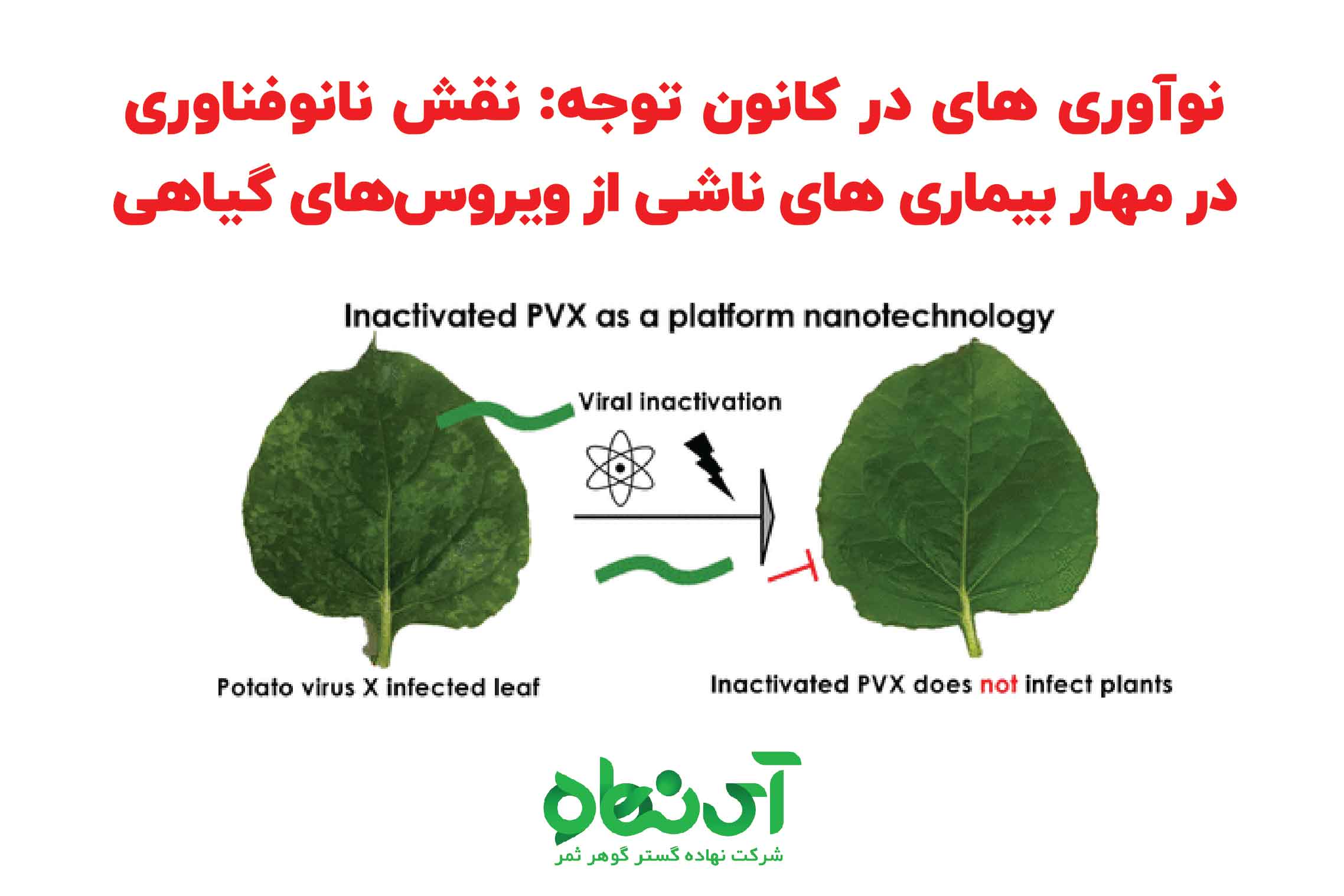 نقش نانوفناوری در مهار بیماری‏های ناشی از ویروس‌های گیاهی